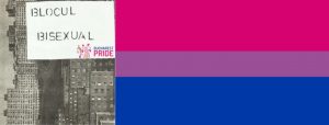 Blocul Bisexual | Întâlnirea comunităţii bisexuale @ Manasia Hub